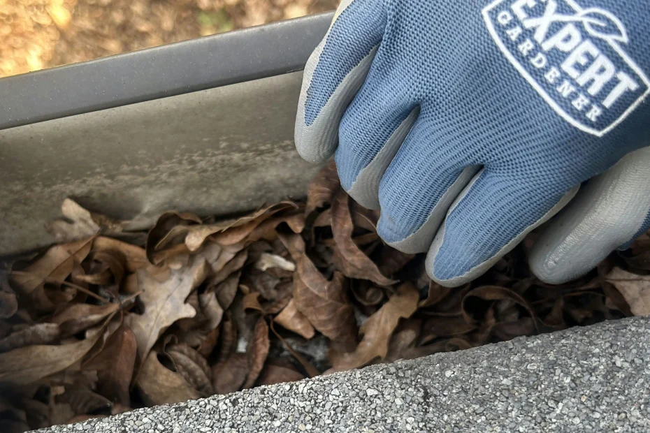 Gutter Cleaning Owasso